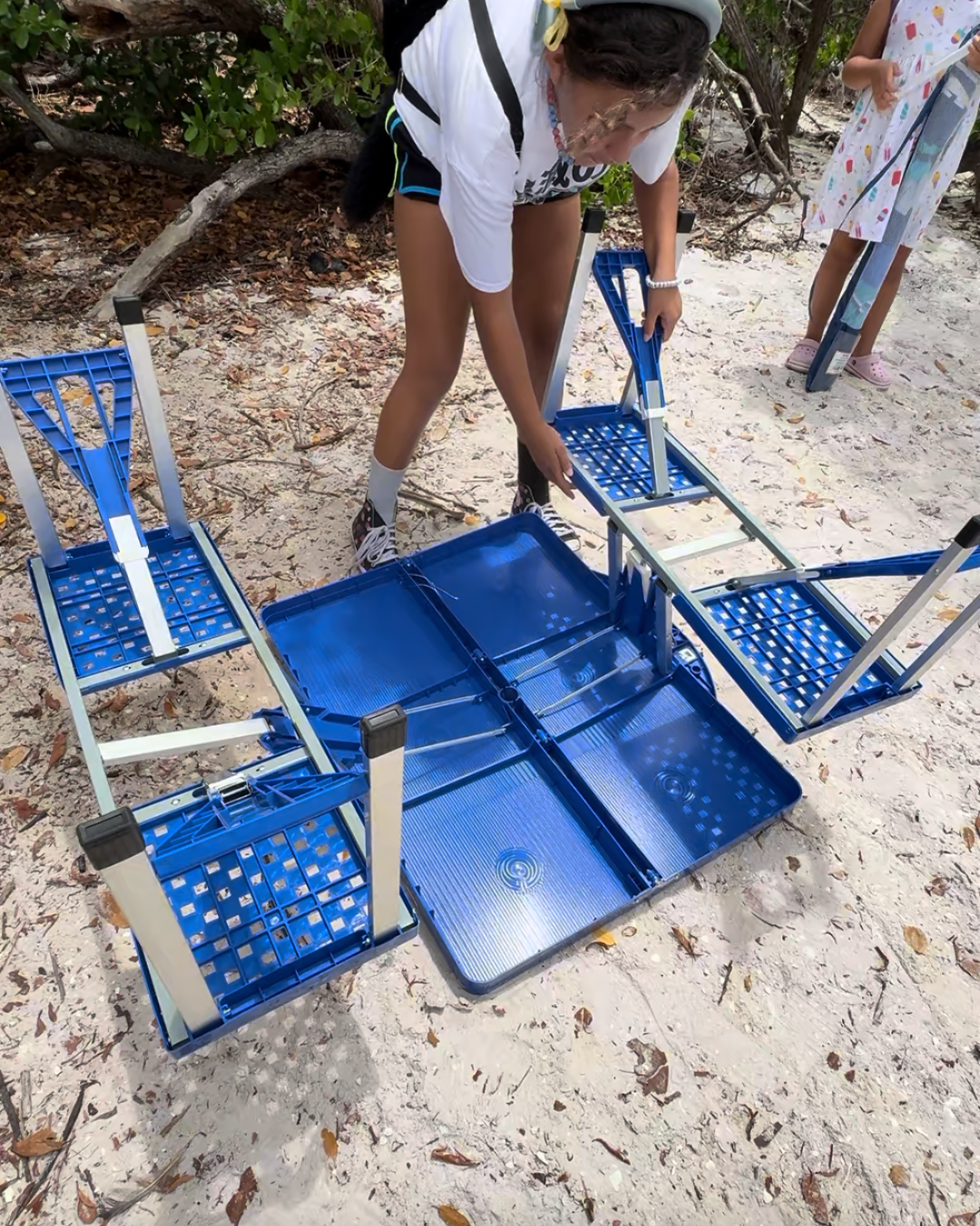 Portable Activity Table