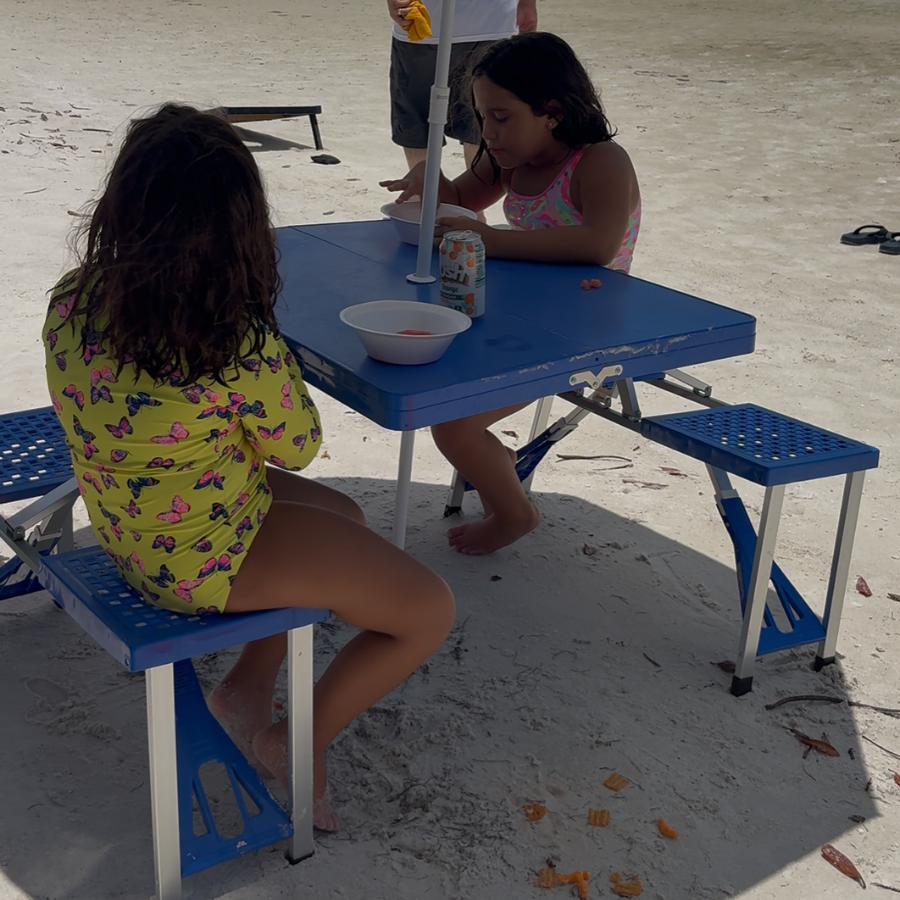 Portable Table